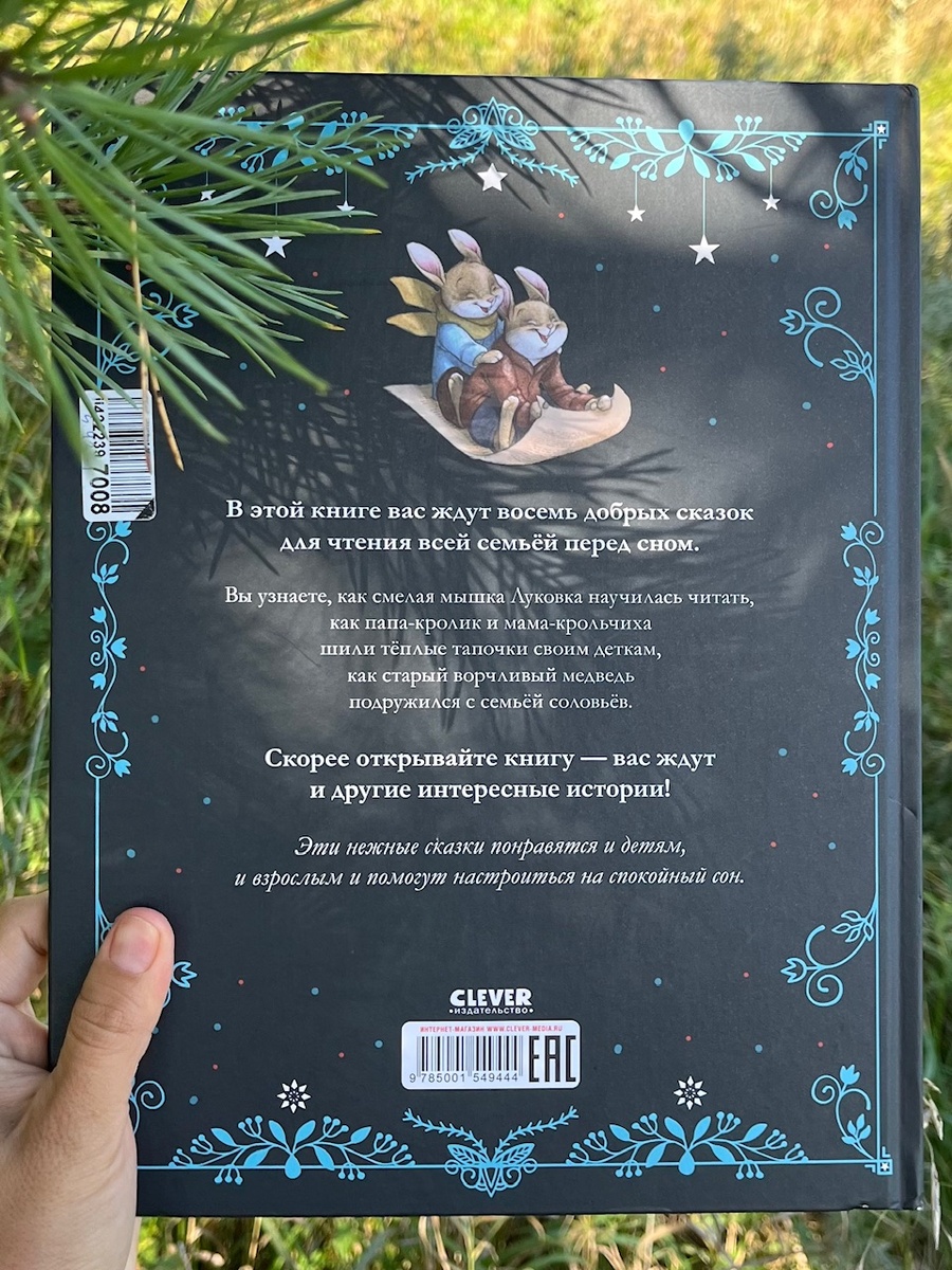 Обратная сторона обложки. Фото автора.