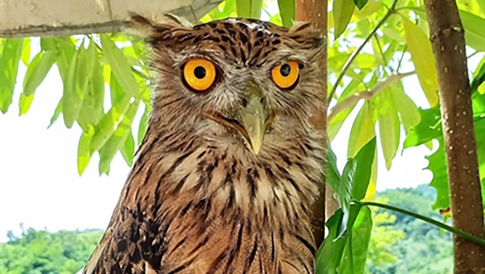     Фото: Đakrông Nature Reserve