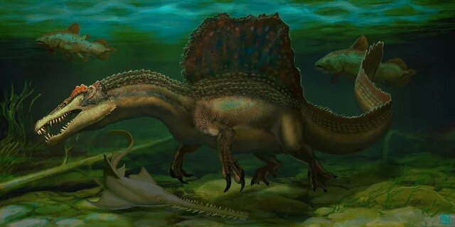 Спинозавр - Spinosaurs (спинозавриды)