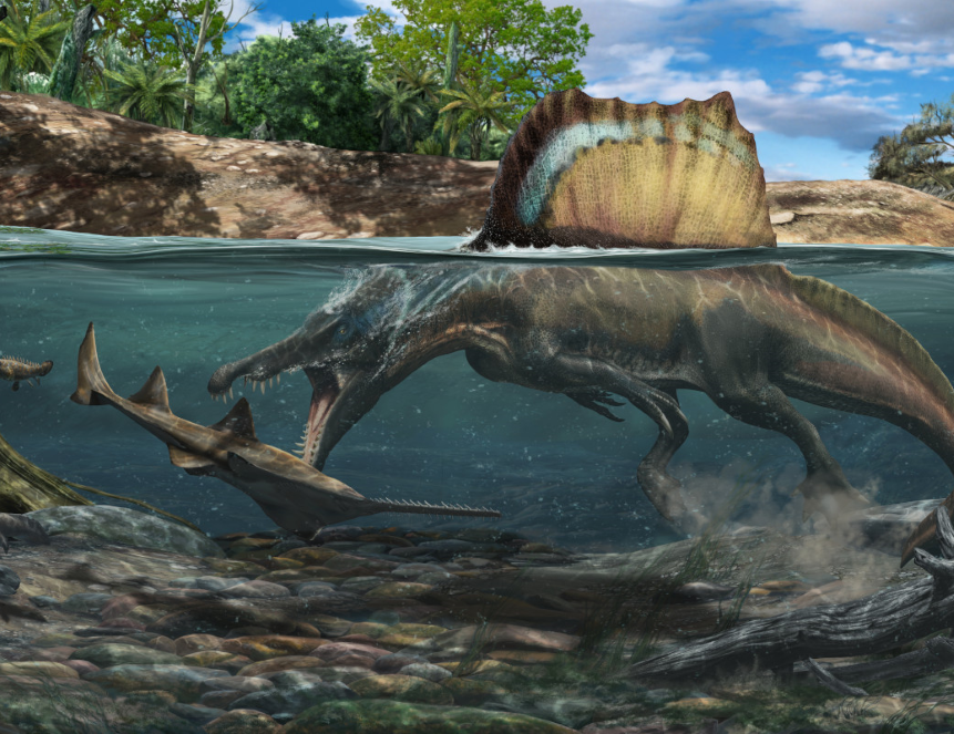 Спинозавр во время охоты