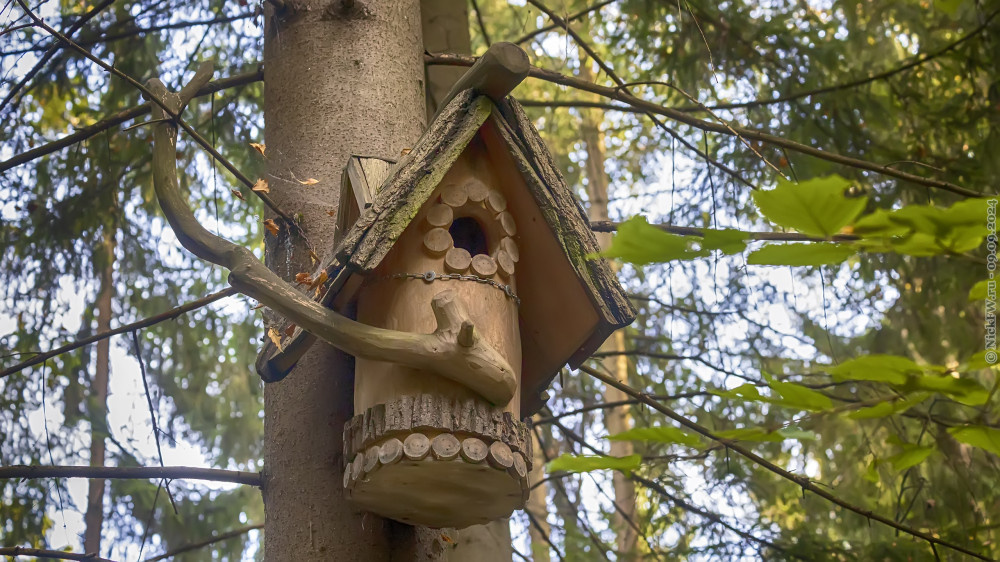 1. Скворечник в Валуевском лесопарке... © NickFW.ru — 09.09.2024г.
