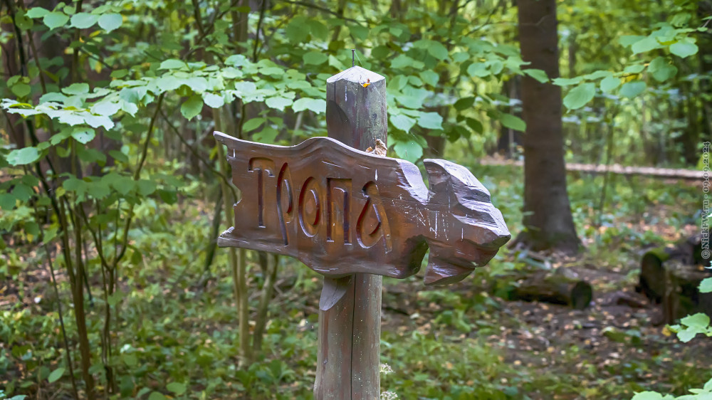 2. табличка с направлением в Валуевском лесопарке... © NickFW.ru — 09.09.2024г.