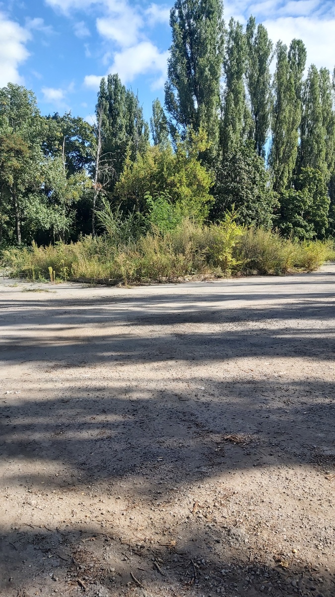 Фото автора. Клумба..... Раньше была