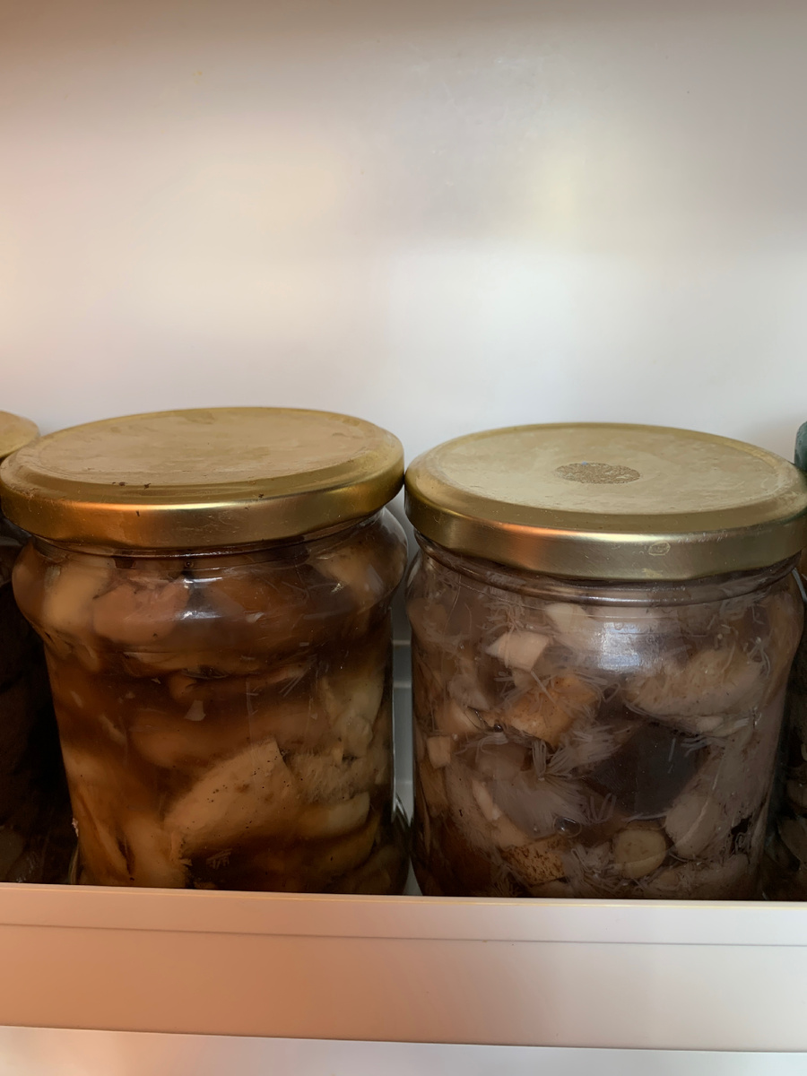 Фото автора канала