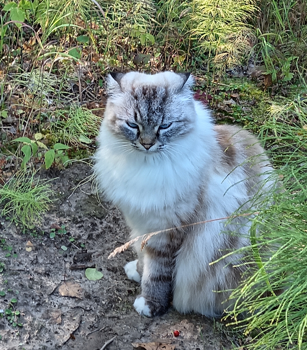 Фото автора.