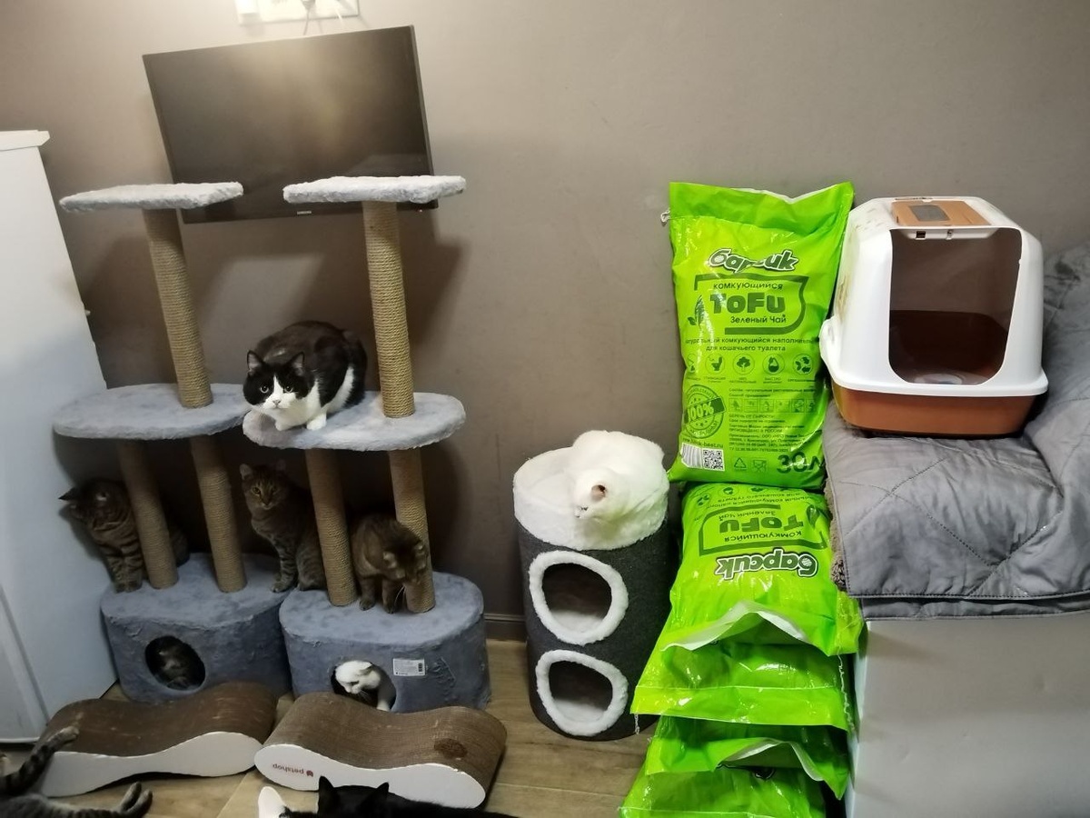 Еле в кадр всё уместили:)