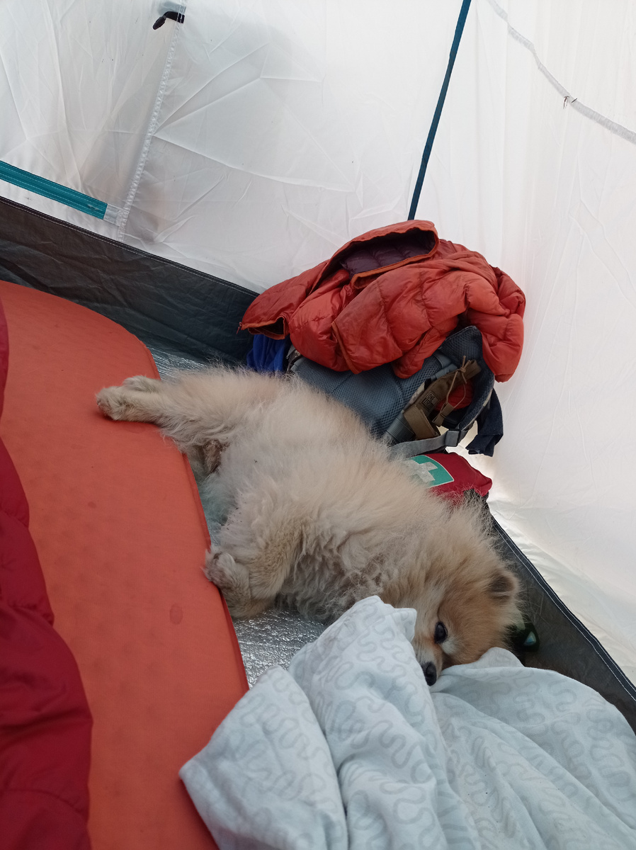 Главный путешественник устал! :-)