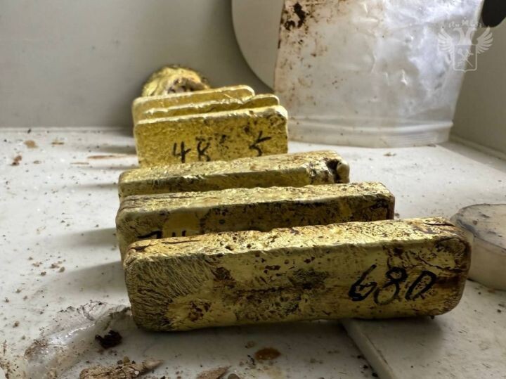    Фото:пресс-служба Дальневосточного таможенного управления