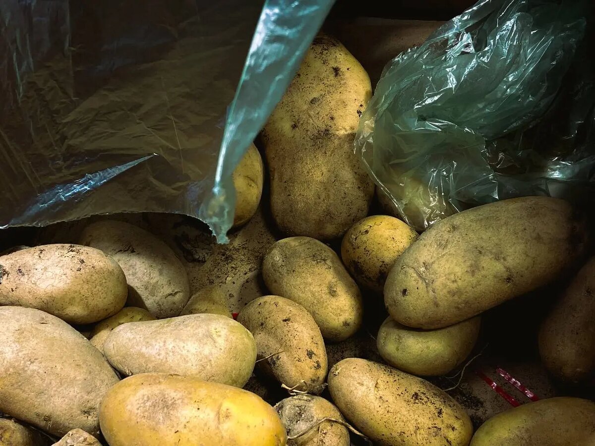    Фото: Мойка78