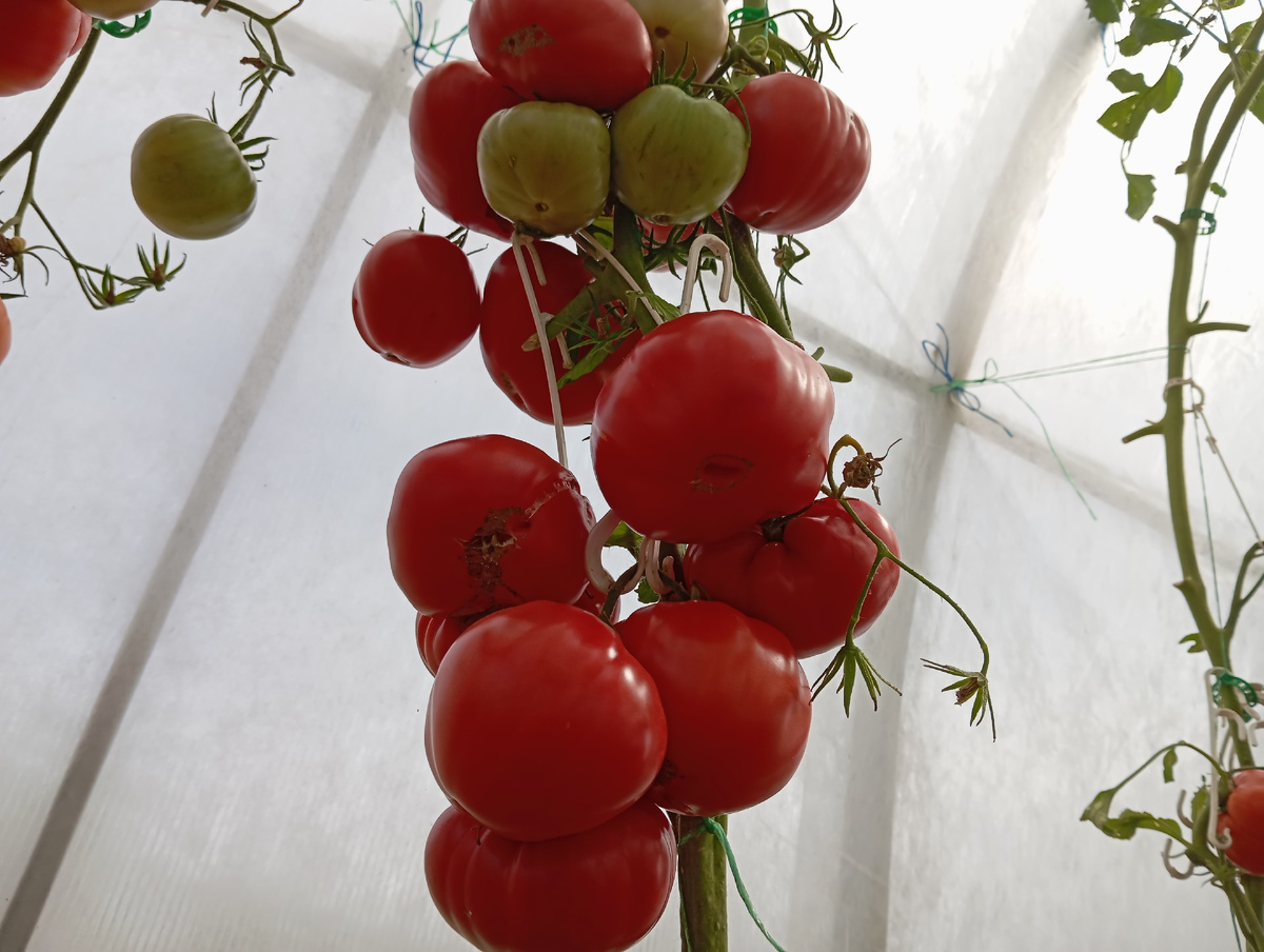 ЛИСТАЙТЕ ВПРАВО