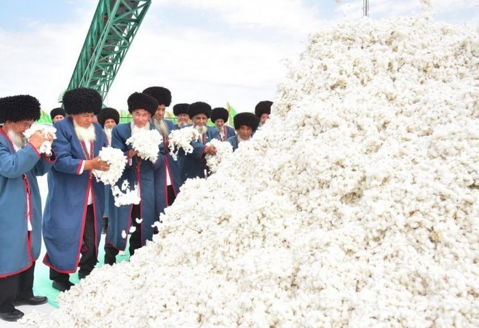 Начало хлопкоуборочной кампании в Туркменистане, 11 сентября, 2019 г. (Фото: TDH)