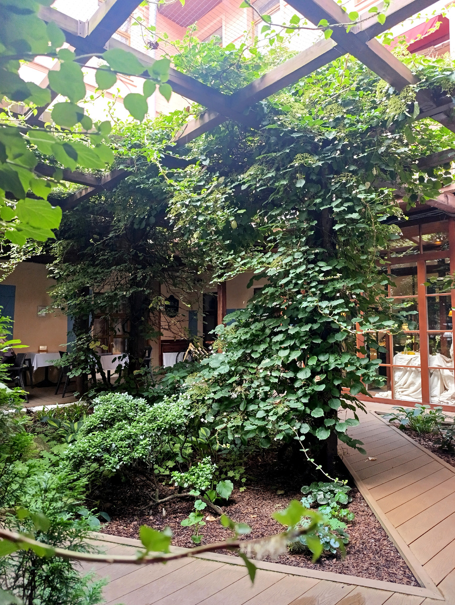 Все фото автора. Вид из ресторана на зеленую террасу.