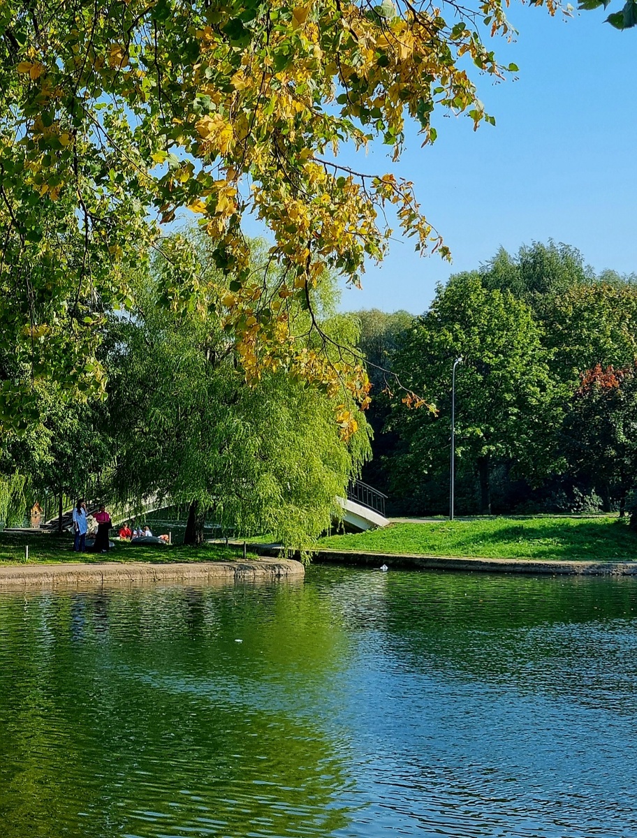 Фото автора статьи.