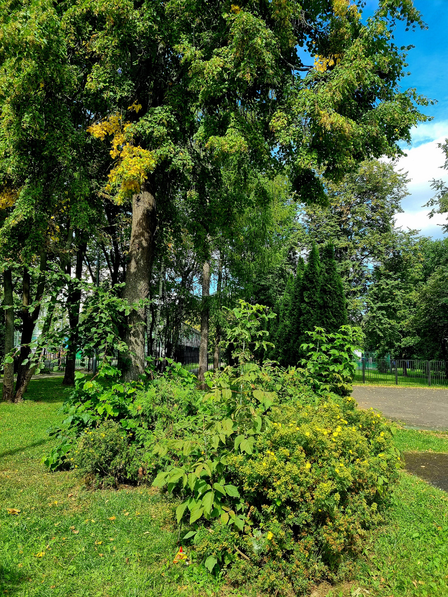 Фото автора статьи.