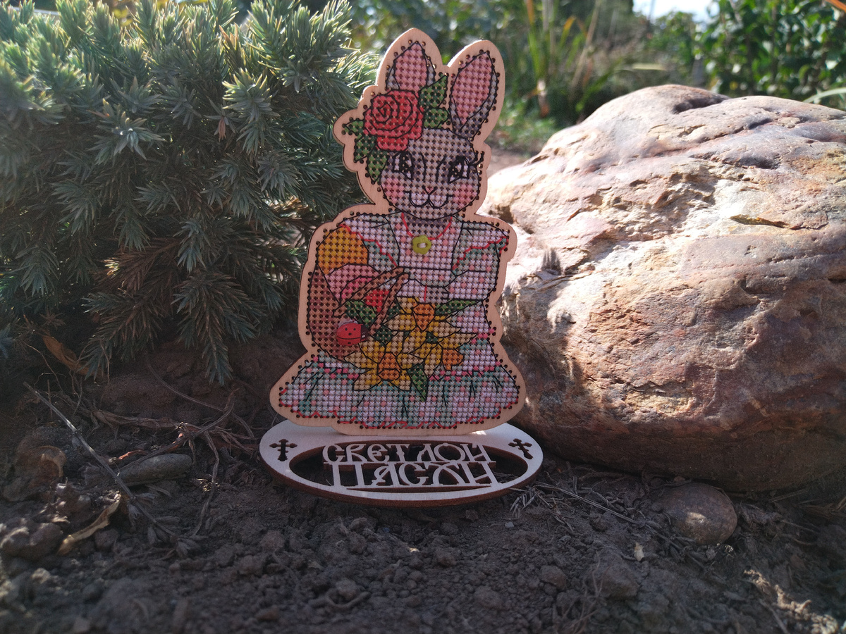 Фото автора, 2024 год