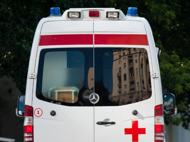    Фото: Москва 24/Игорь Иванко