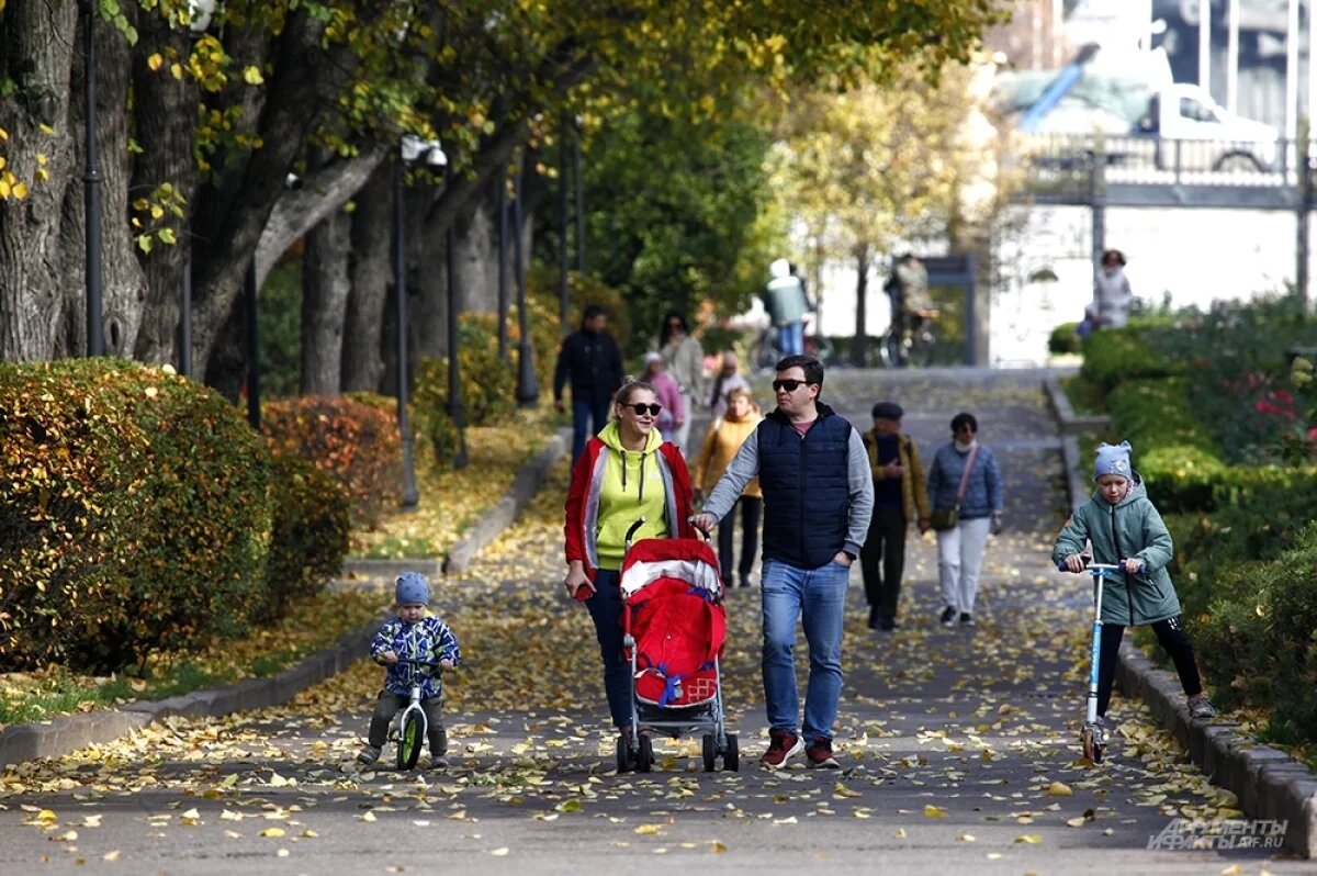    Можно надеяться, что осень будет теплой.