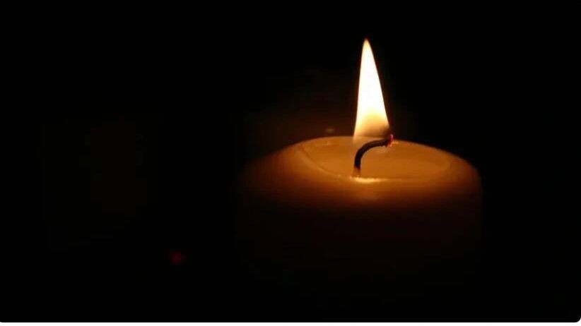    Фото: talyfo/Shutterstock/Fotodom