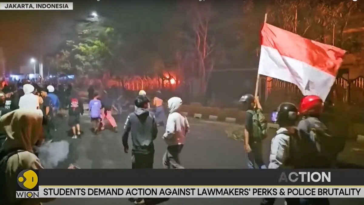    Кадр видео канала WION/www.youtube.com/watch?v=k04aQ1GZ_To