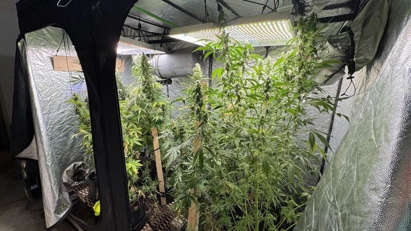    Фото: пресс-служба ГУ МВД по ЯНАО