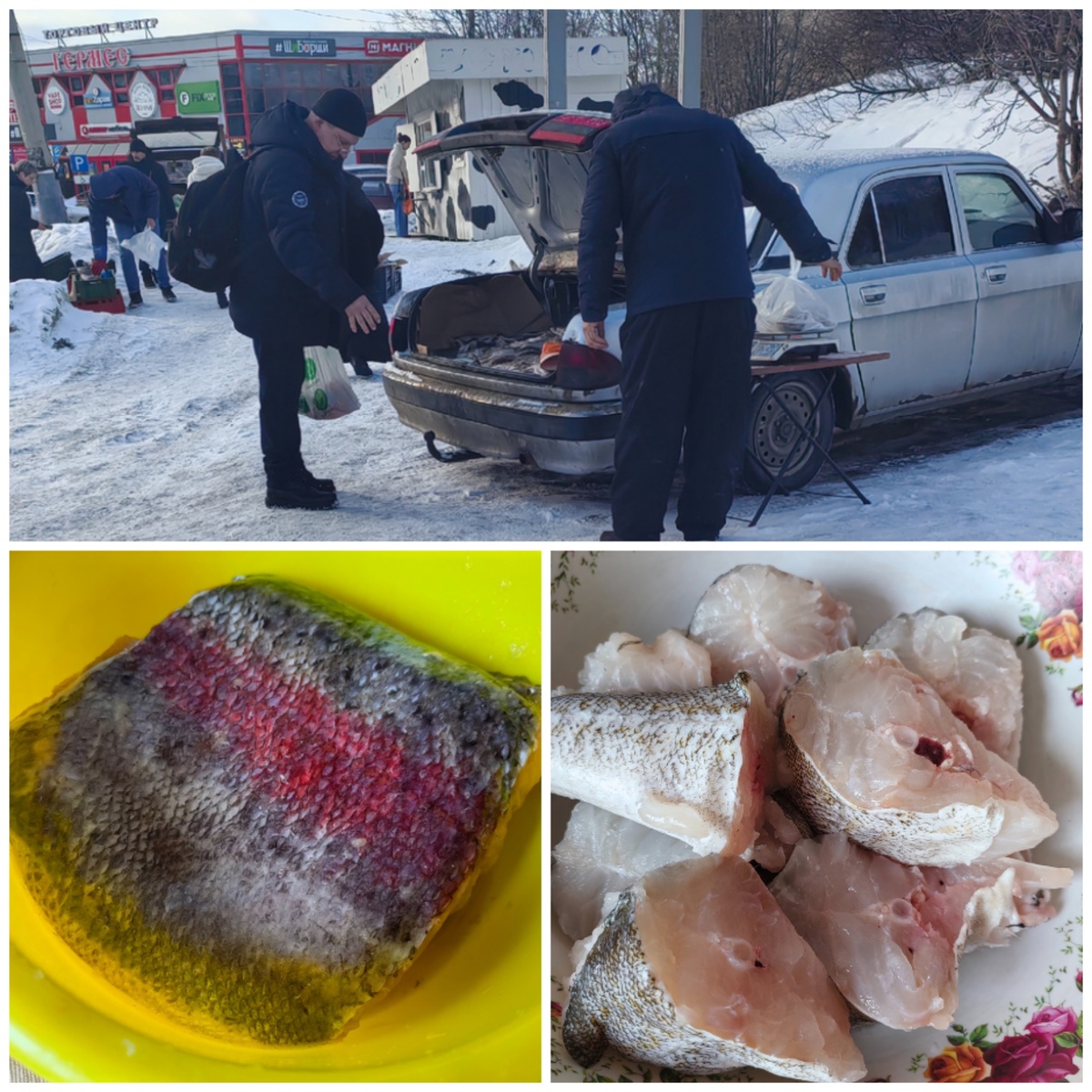 Я родилась в Мурманске и прожила там 53,5 года. 