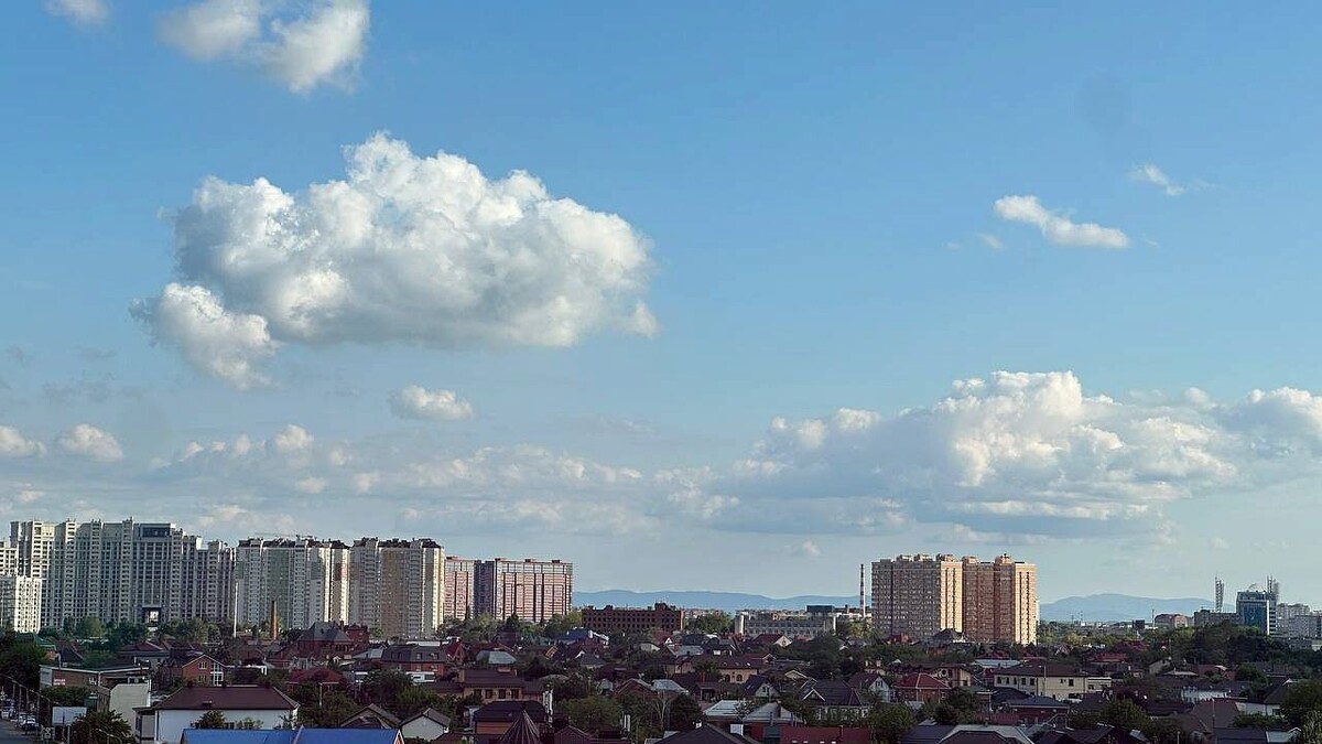    Фото: телеканал «Краснодар»