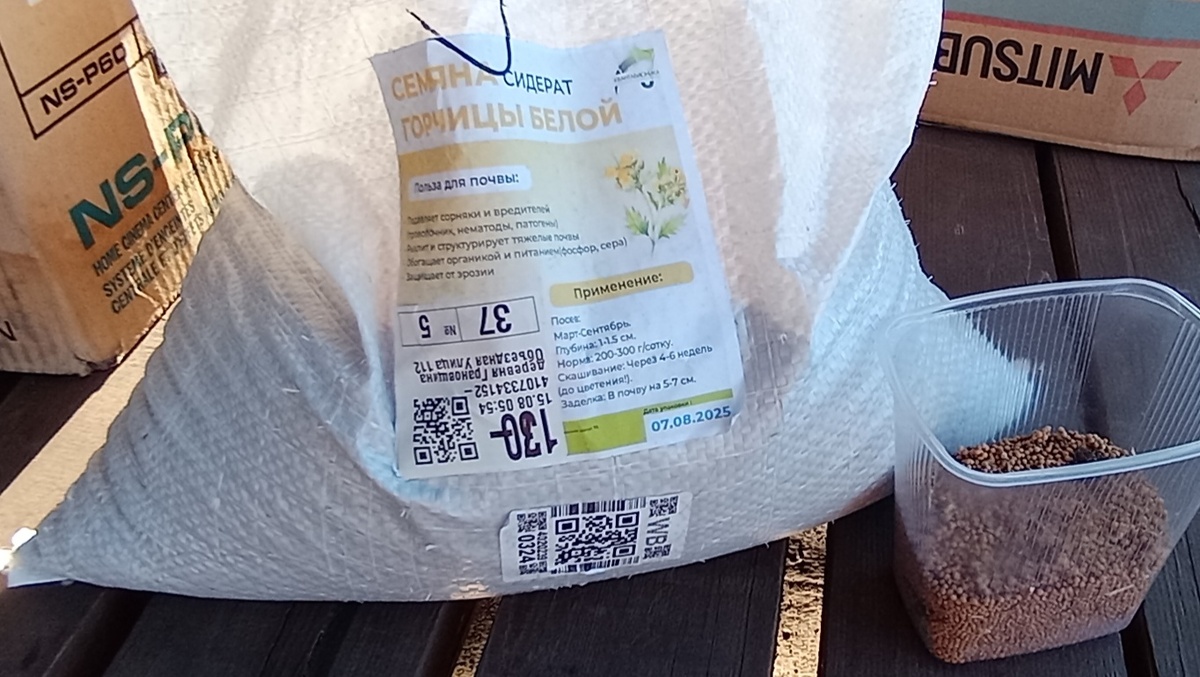 Сидерат. Горчица белая