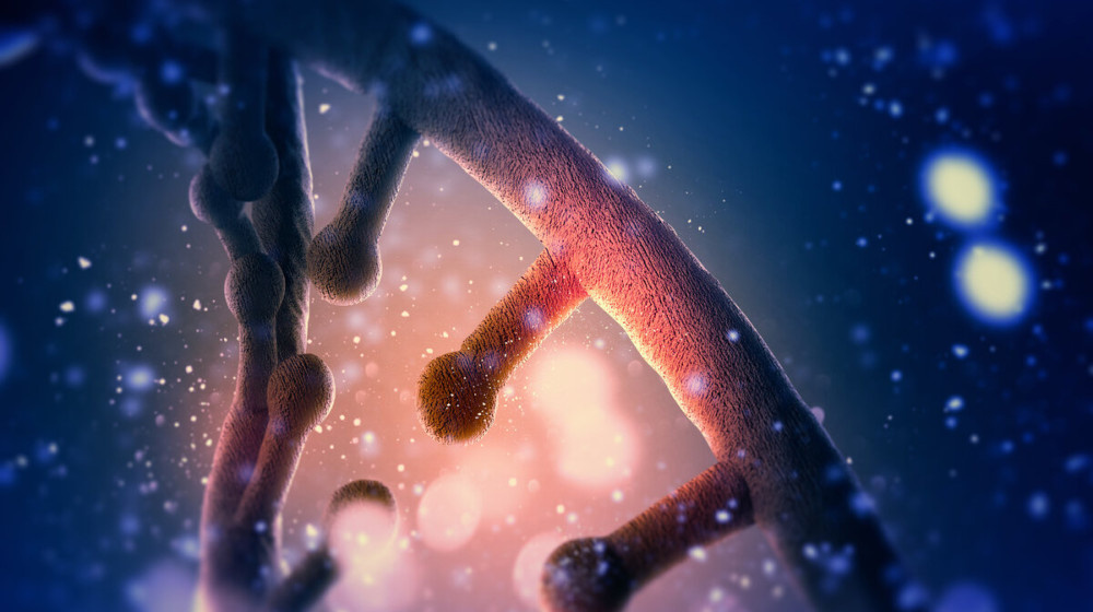    В ДНК спрятан таймер мутаций который уже начал менять наши представления о жизни