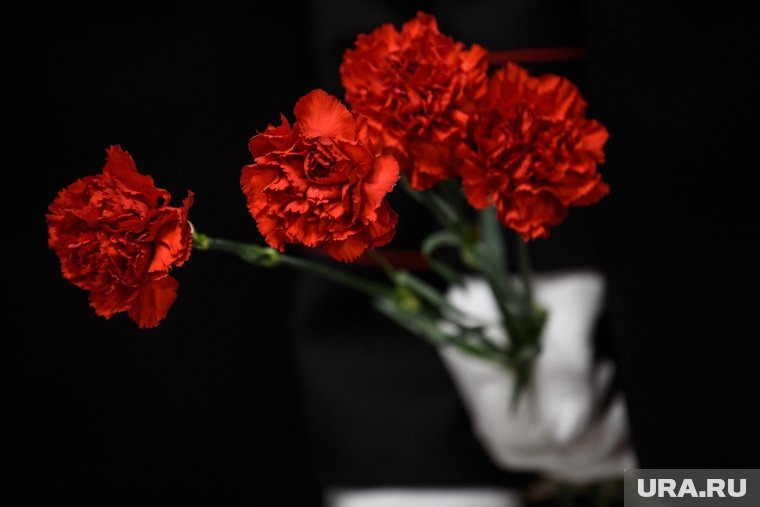    Курганская область потеряла мастера живописи Алексея Мехонцева