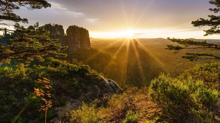 Источник фото:ru.pinterest.com/pin/389631805246464840/