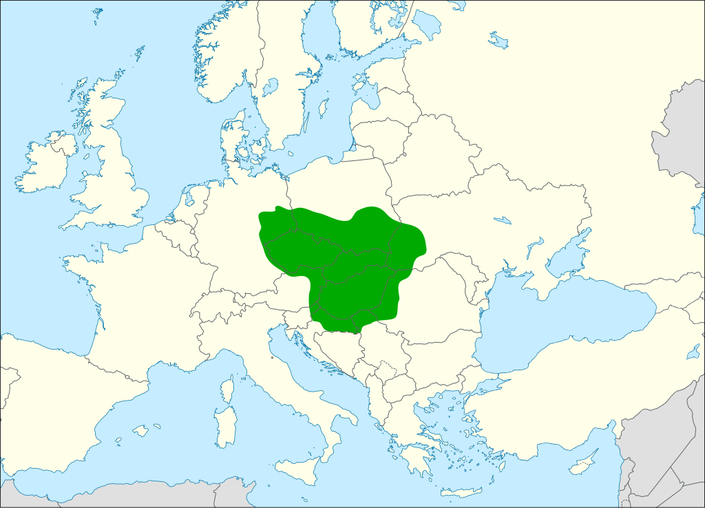 Приблизительная территория Великой Моравии в конце IX века. 