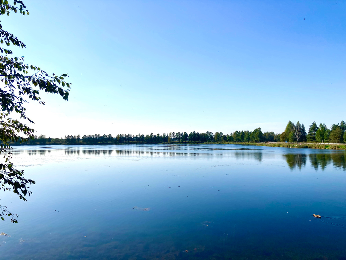 Шинкарский пруд - верхняя запасная точка в питании фонтанов Петергофа.