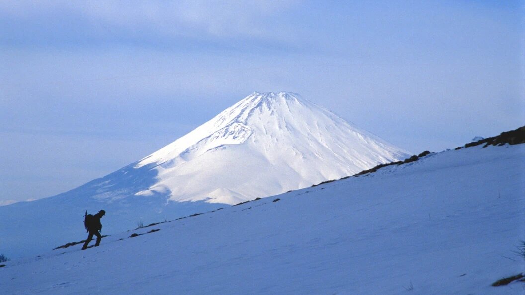    Serguei Fomine/Russian Look/Globallookpress