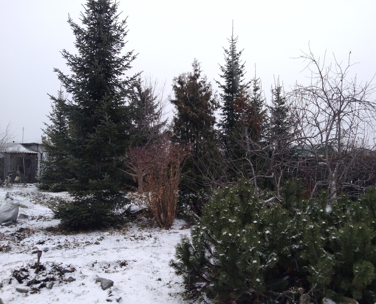 Фото с первого участка в Еткуле