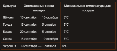 Посадка деревьев