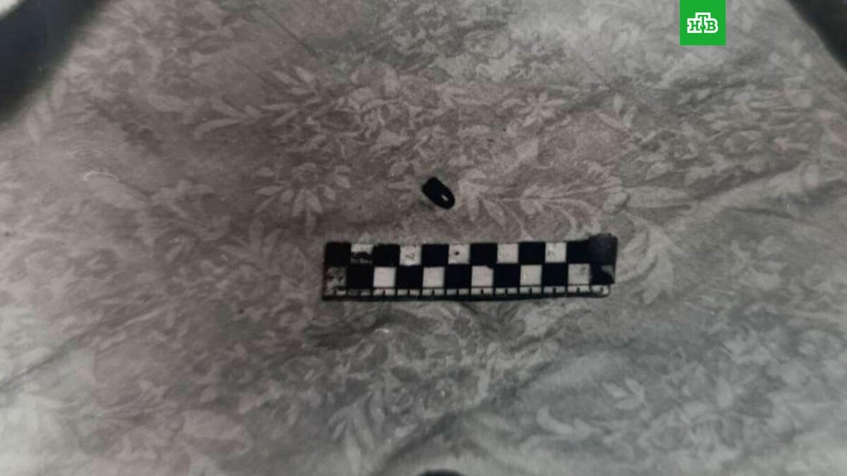    Фото: moscowproc / t.me