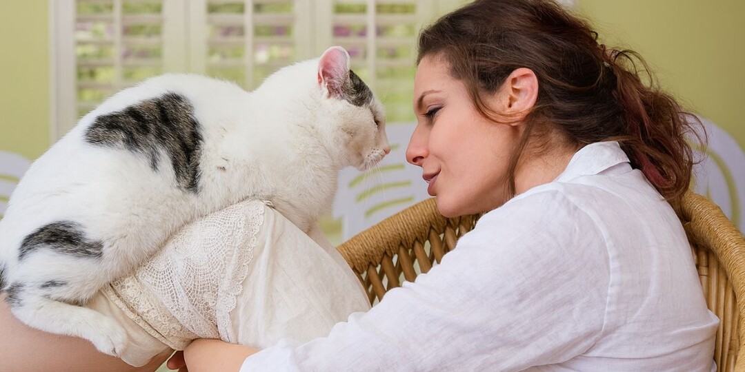 Как разговаривать с кошкой: забудьте про слова, важна ТОЛЬКО интонация