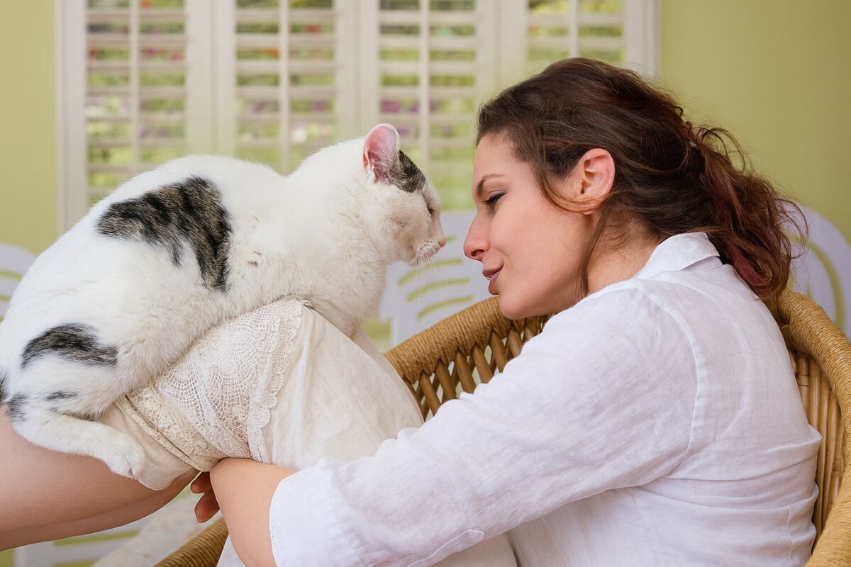 Как разговаривать с кошкой