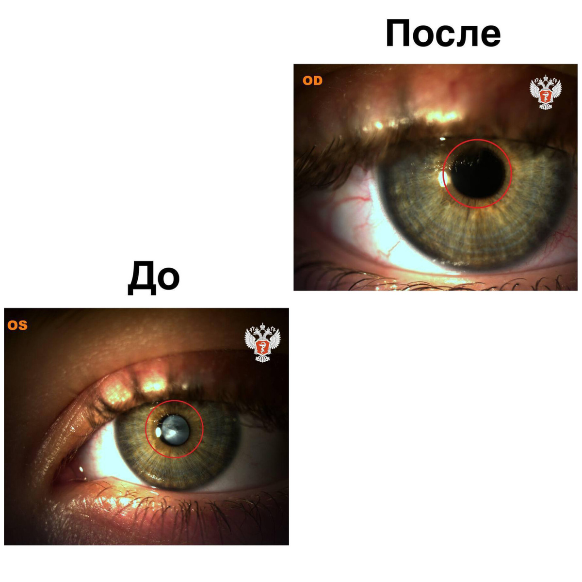 Фото: пресс-служба Министерства здравоохранения 