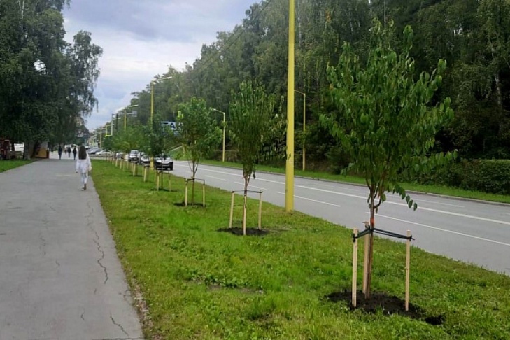    Фото мэрии Новосибирска