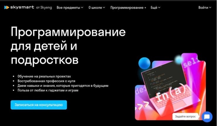    SkySmart Pro — одна из самых известных школ программирования