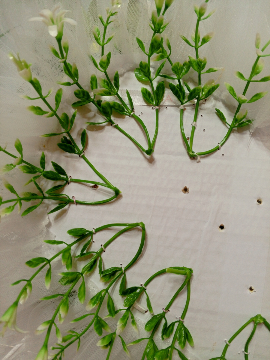 Из личного архива