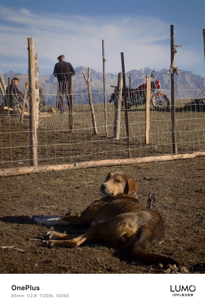    Фотовозможности будущего OnePlus 15 показали в действии