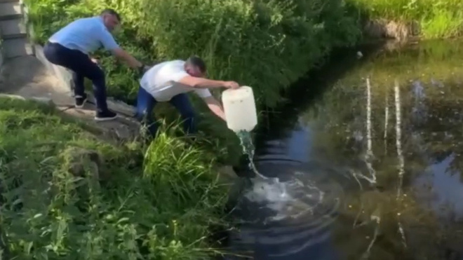 Фото: скриншот видео администрации Куйвозовского сельского поселения