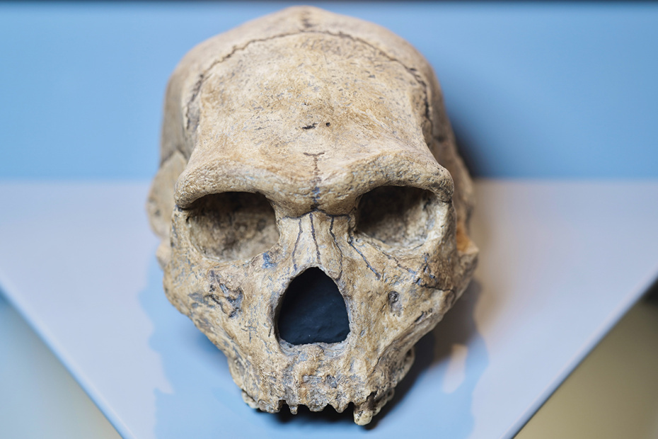    Uwe Anspach/dpa/Global Look Press