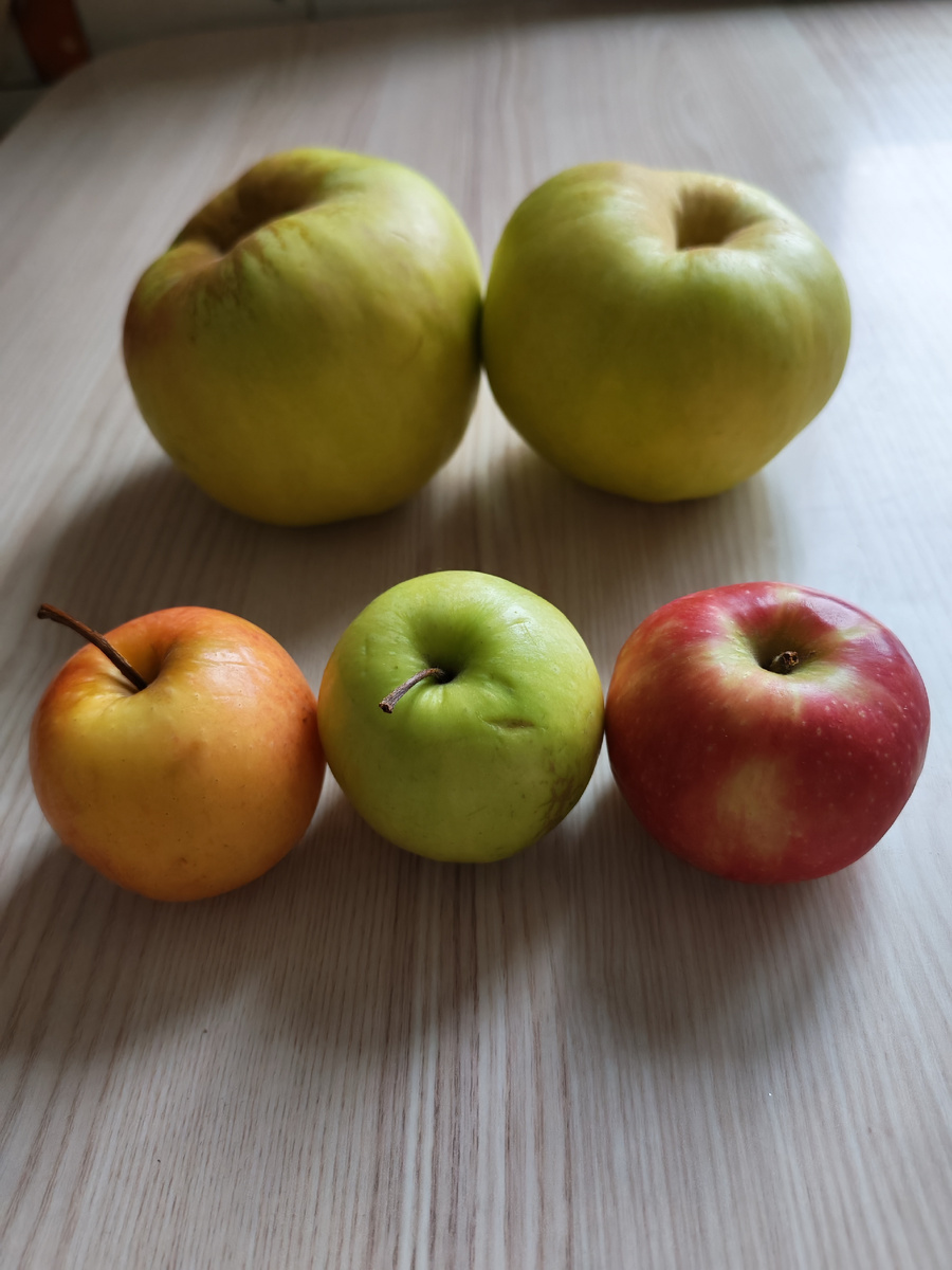 Яблоко — один из символов здоровья. Вверху яблоки, купленные папой в гипермаркете, внизу —  принесенные ребенком из школьной столовой. В нашем нижегородском садике давали яблоки мельче, чем в школе. Фото моё