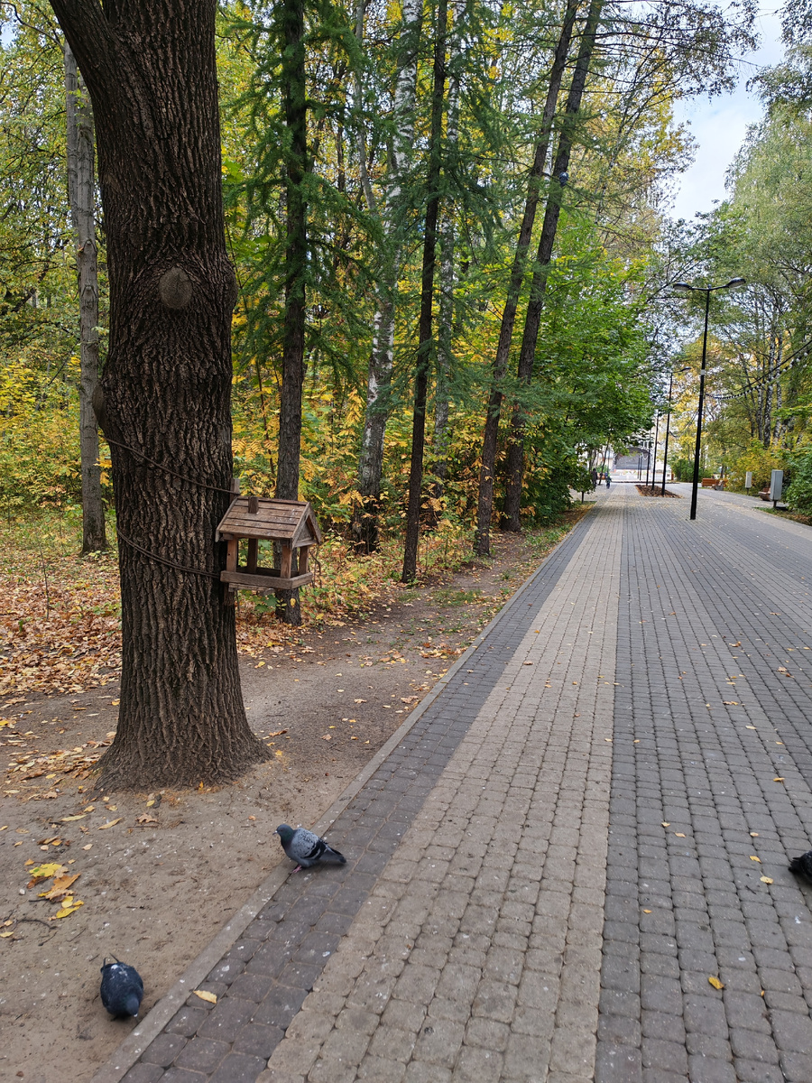 Созерцание природы и пешие прогулки на свежем воздухе помогают разгрузить психику. Парк "Дубки". Фото моё