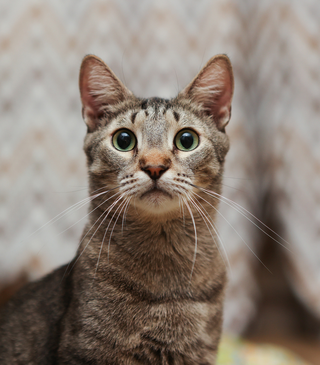 Так обидно...