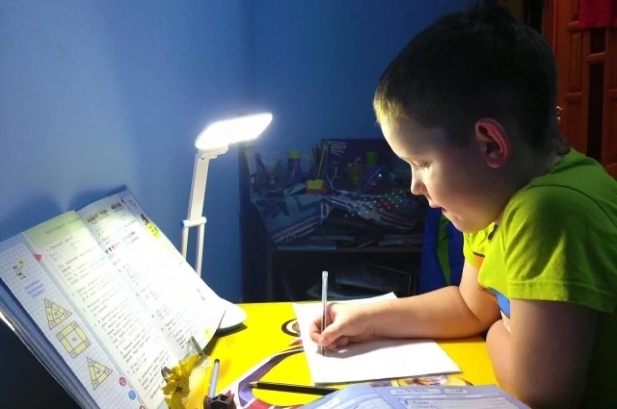    В омских школах появится новый курс по истории родного края