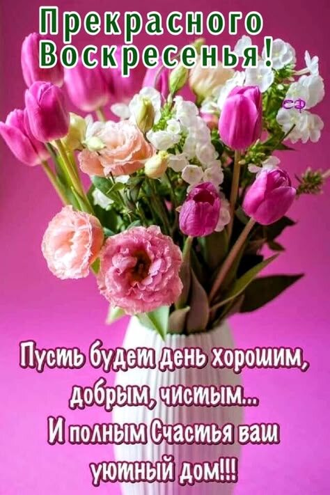 Из интернета для хорошего настроения 